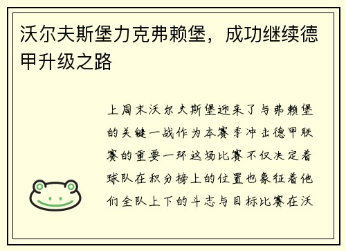 沃尔夫斯堡力克弗赖堡，成功继续德甲升级之路